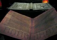 libro antiguo codex argentus