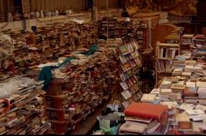 libreria mercadillo de miguel 2