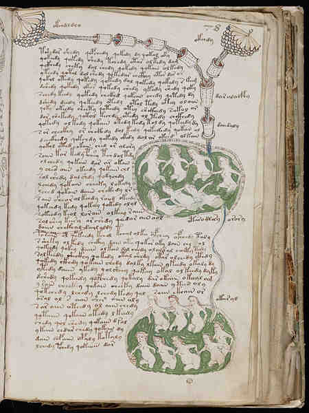 Folio de la sección biológica