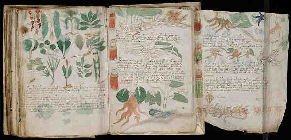 Distintos folios de la sección Herbolario