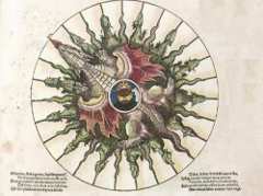 libro-antiguo-astronomicum-cesareum