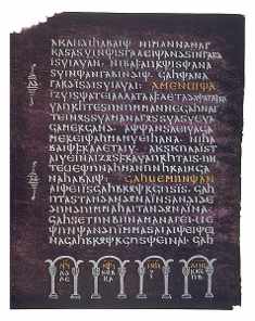 Pagina Codex Argentus